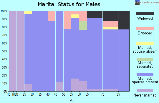 Zip code 52316 marital status for males