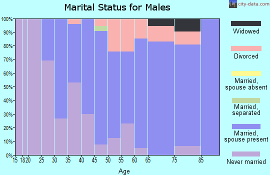 Zip code 52320 marital status for males