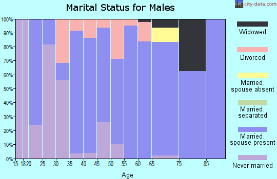 Zip code 52322 marital status for males