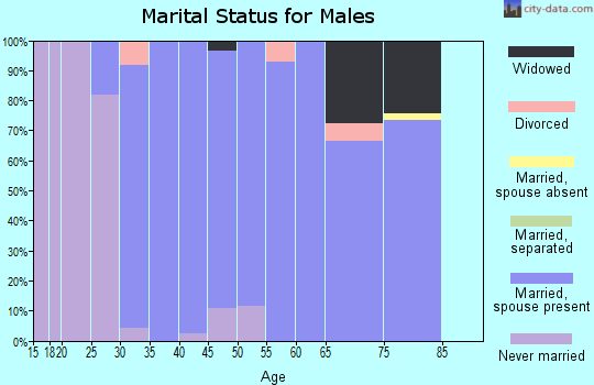 Zip code 52325 marital status for males