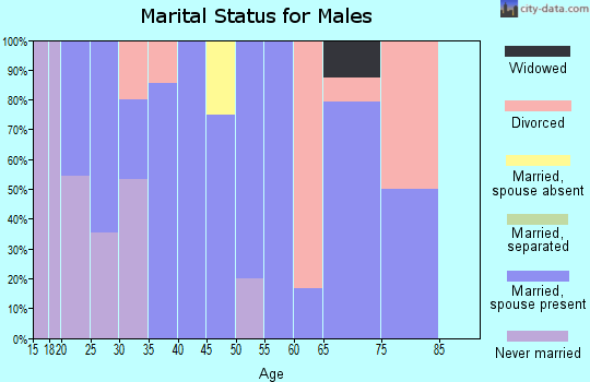 Zip code 52326 marital status for males