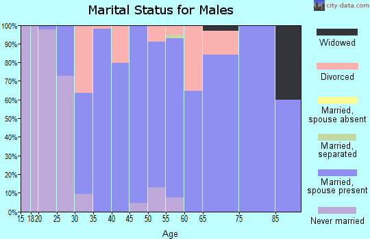 Zip code 52327 marital status for males