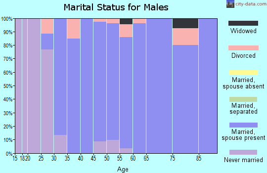 Zip code 52328 marital status for males