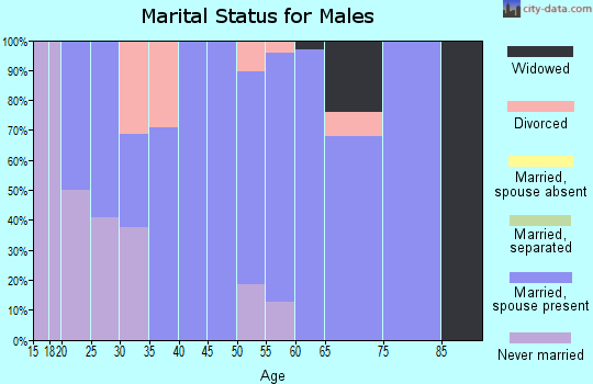 Zip code 52329 marital status for males