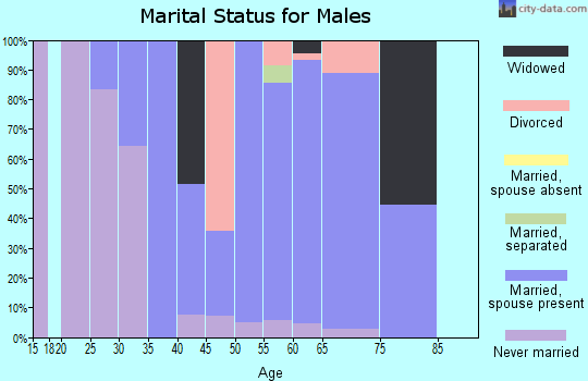 Zip code 52330 marital status for males