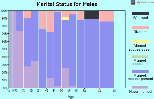 Zip code 52332 marital status for males