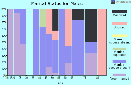 Zip code 52335 marital status for males