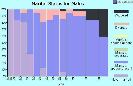 Zip code 52336 marital status for males