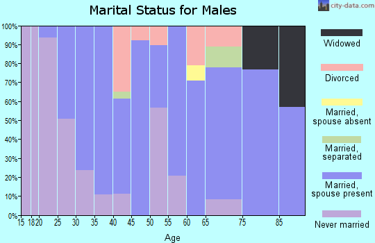 Zip code 52345 marital status for males