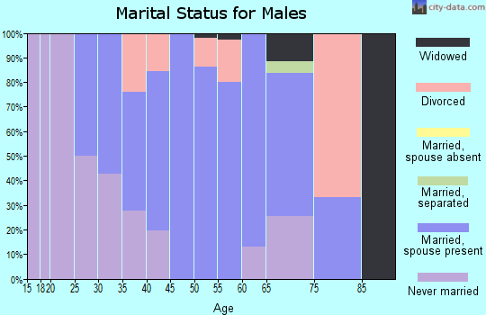 Zip code 52352 marital status for males