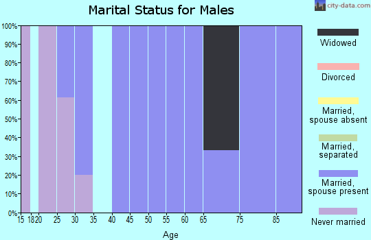Zip code 52355 marital status for males