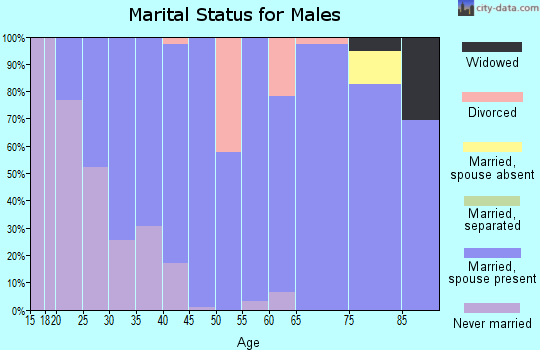 Zip code 52356 marital status for males
