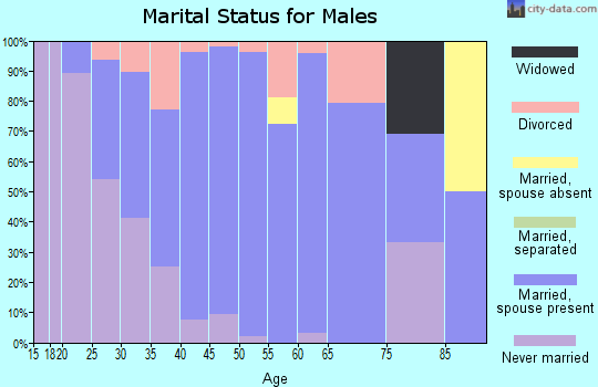 Zip code 52358 marital status for males