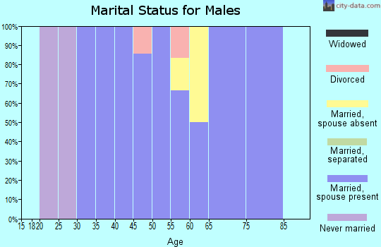 Zip code 52359 marital status for males