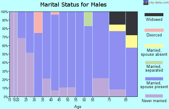 Zip code 52361 marital status for males