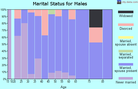Zip code 52533 marital status for males