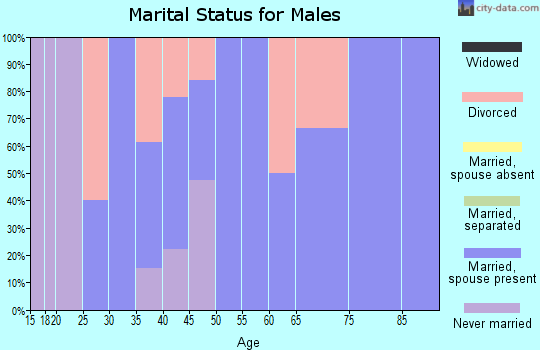 Zip code 52534 marital status for males