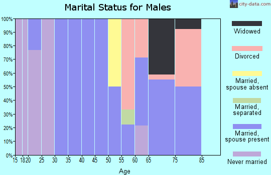 Zip code 52542 marital status for males
