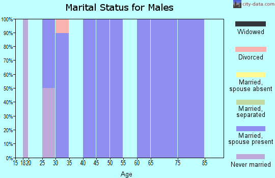 Zip code 52543 marital status for males