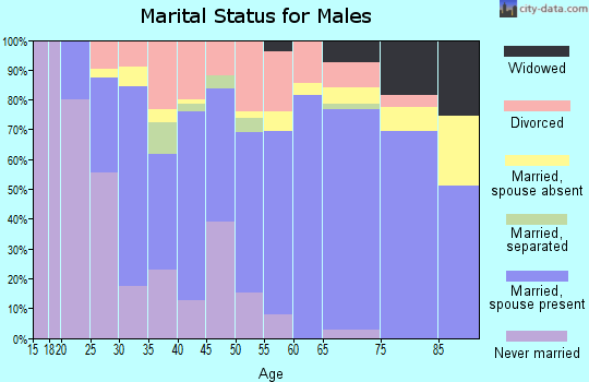 Zip code 52544 marital status for males