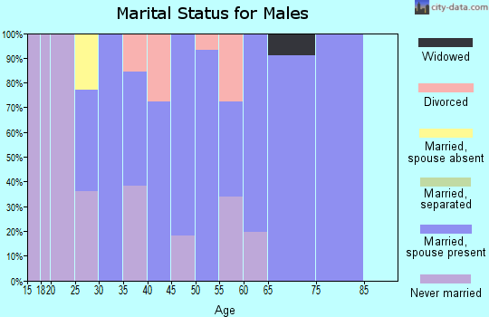 Zip code 52552 marital status for males