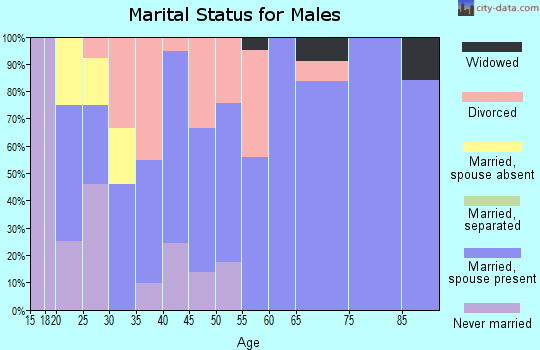 Zip code 52553 marital status for males