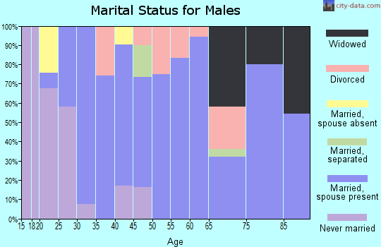 Zip code 52554 marital status for males