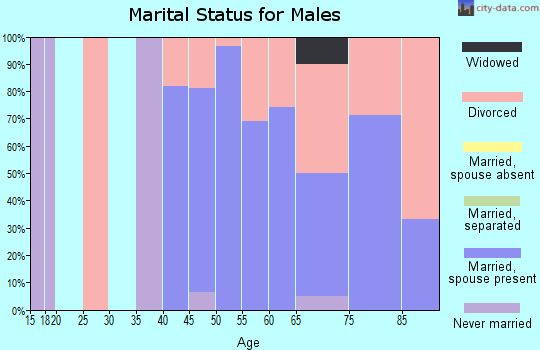 Zip code 52555 marital status for males