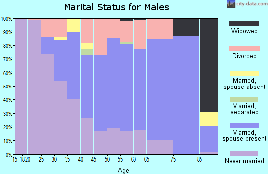 Zip code 52556 marital status for males