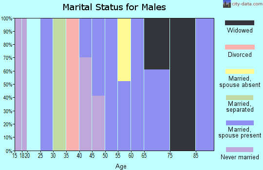 Zip code 52560 marital status for males