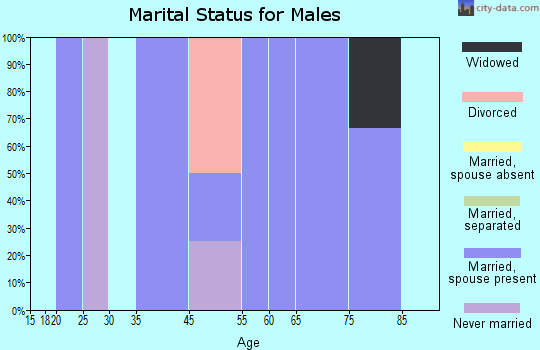 Zip code 52562 marital status for males