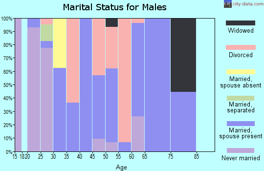 Zip code 52567 marital status for males