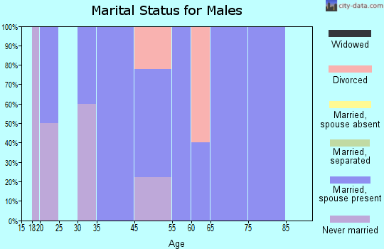 Zip code 52568 marital status for males