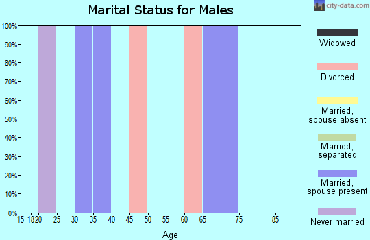 Zip code 52573 marital status for males