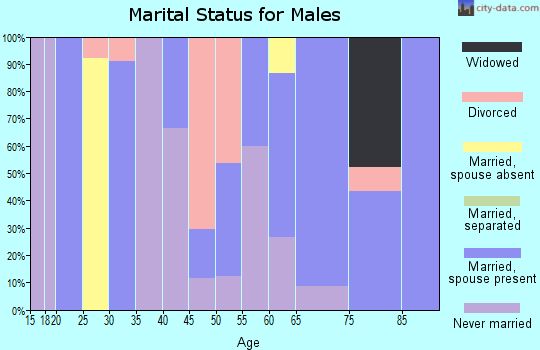 Zip code 52576 marital status for males
