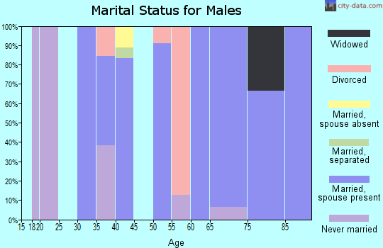 Zip code 52580 marital status for males