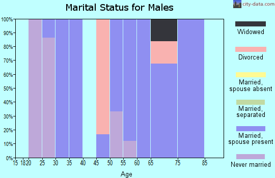 Zip code 52581 marital status for males