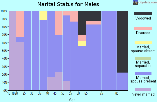 Zip code 52585 marital status for males