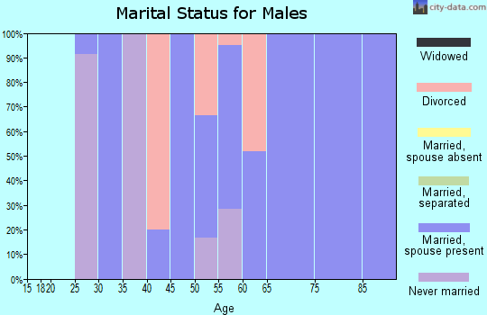 Zip code 52586 marital status for males
