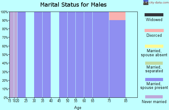 Zip code 52593 marital status for males