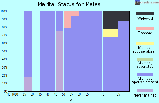 Zip code 52594 marital status for males