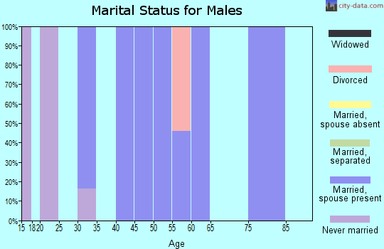 Zip code 52619 marital status for males