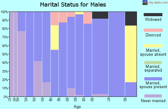 Zip code 52621 marital status for males