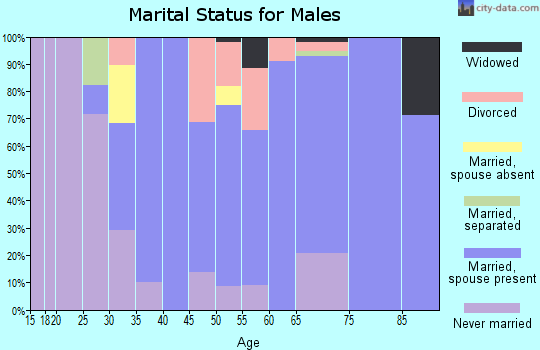 Zip code 52626 marital status for males