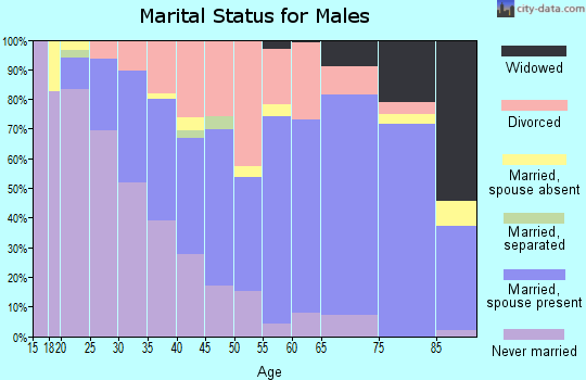 Zip code 52627 marital status for males