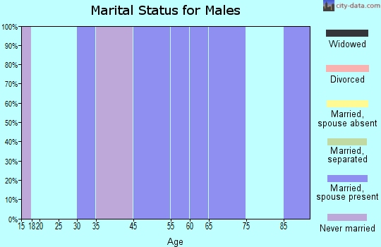 Zip code 52631 marital status for males