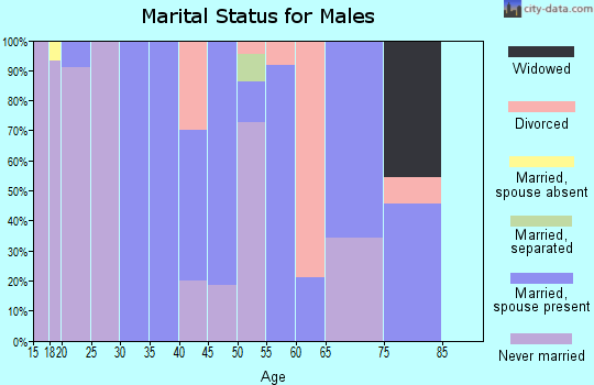 Zip code 52635 marital status for males