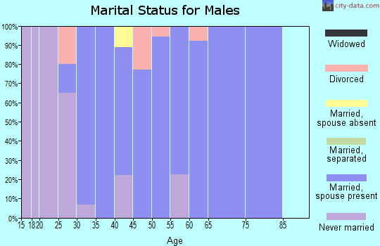 Zip code 52638 marital status for males