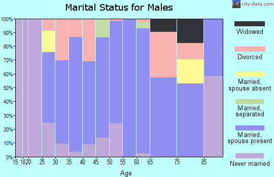 Zip code 52640 marital status for males