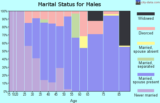 Zip code 52645 marital status for males
